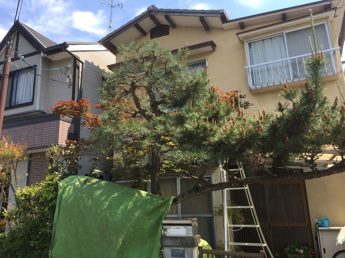 f:id:yukihatu:20190519224049j:plain