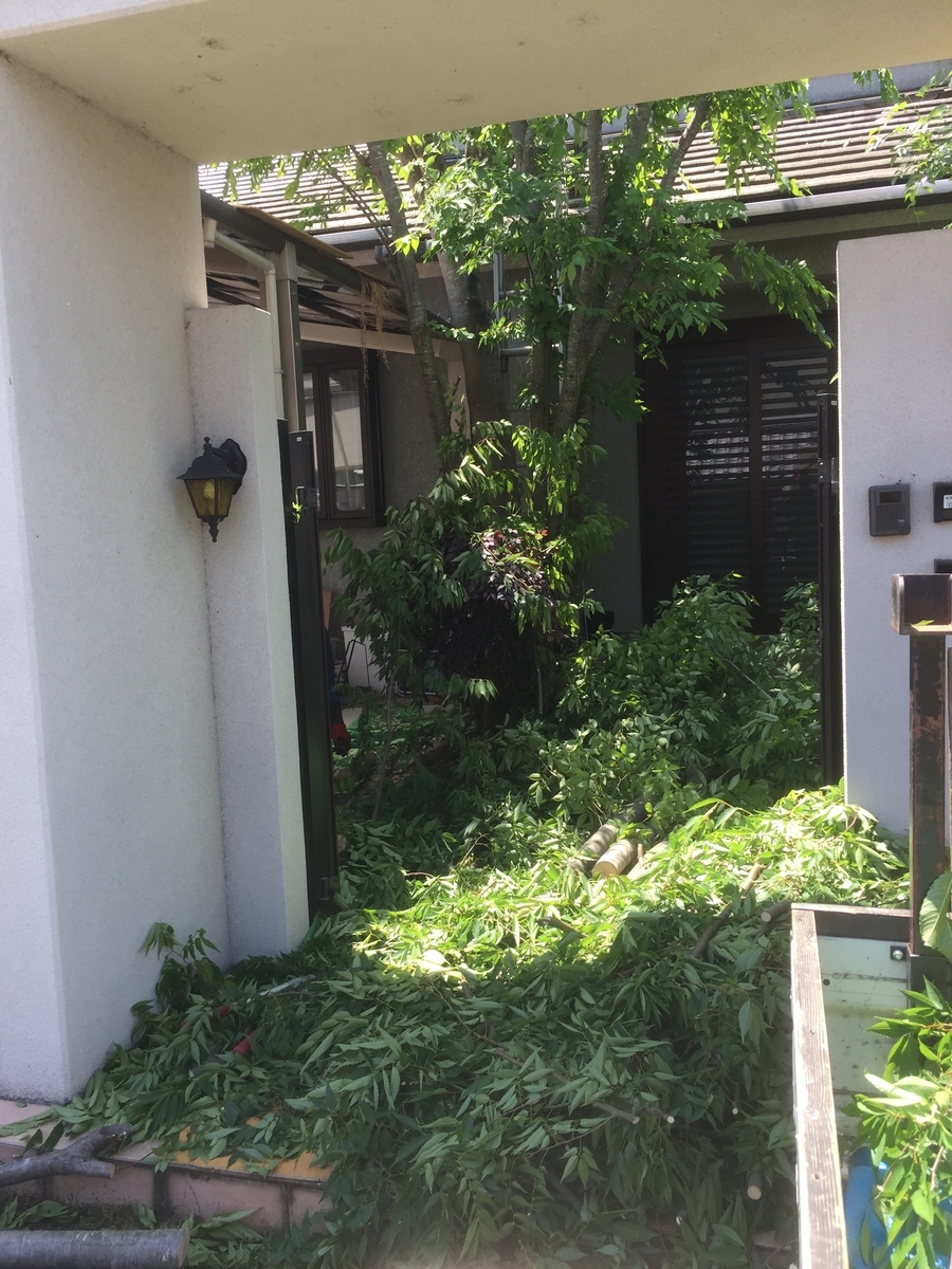 f:id:yukihatu:20190605213844j:plain