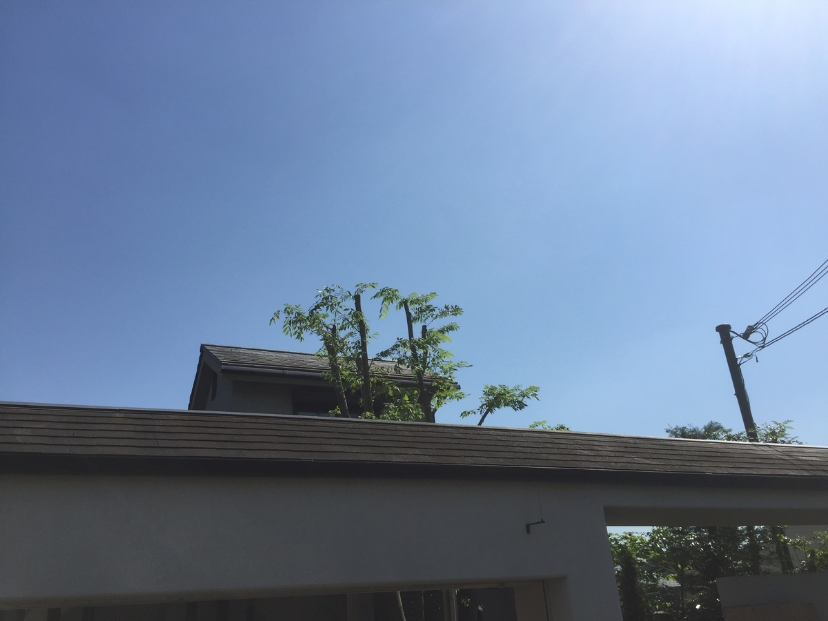 f:id:yukihatu:20190605214208j:plain