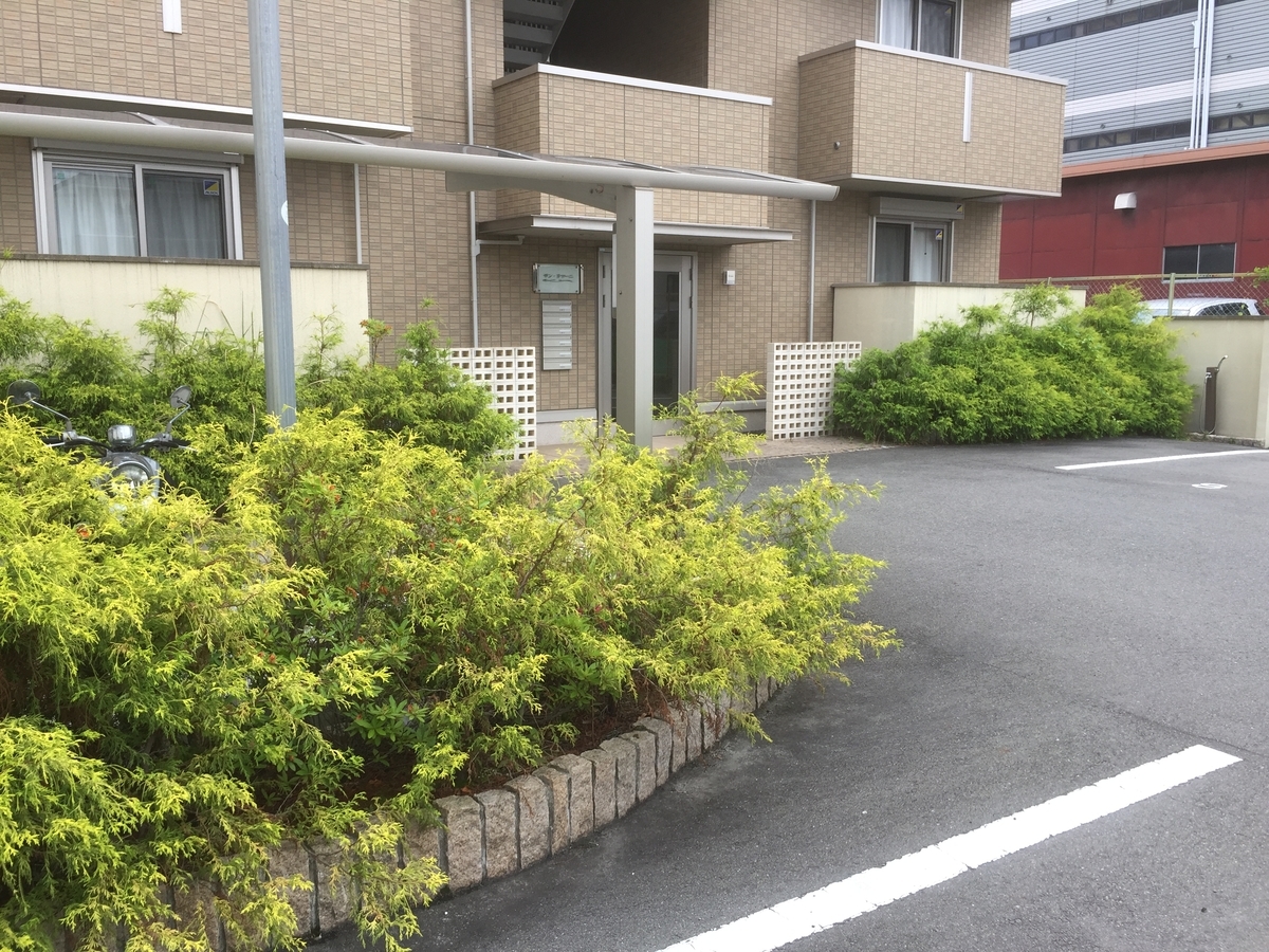 f:id:yukihatu:20190623223152j:plain f:id:yukihatu:20190623223152j:plain