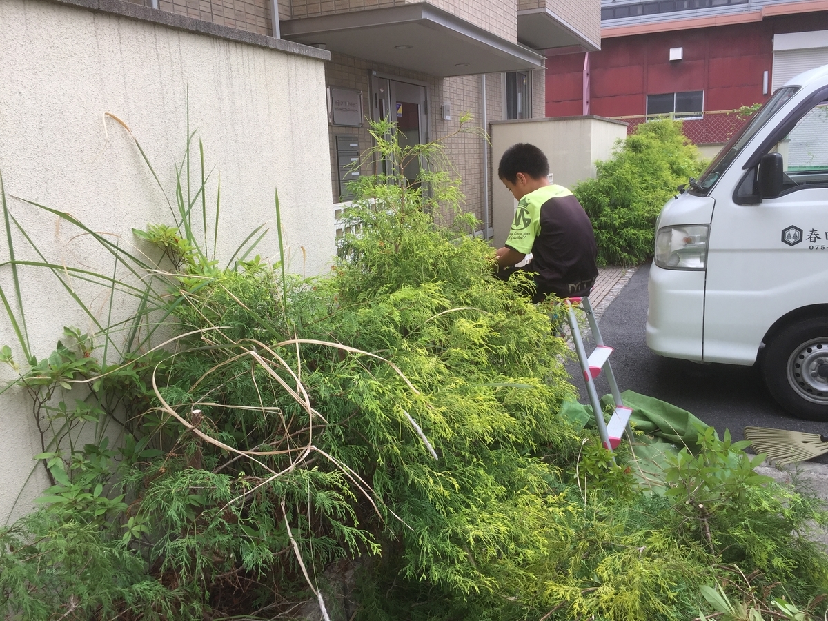 f:id:yukihatu:20190623223755j:plain f:id:yukihatu:20190623223755j:plain