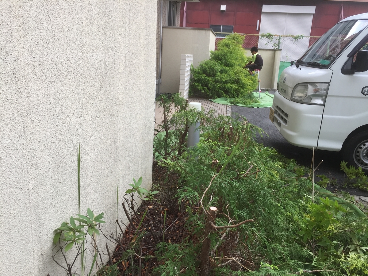 f:id:yukihatu:20190623224327j:plain f:id:yukihatu:20190623224327j:plain