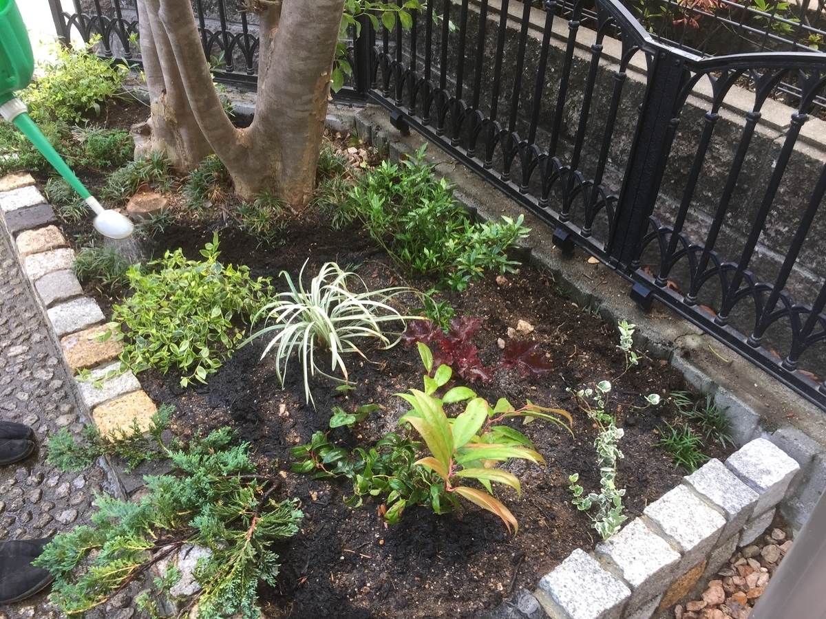 f:id:yukihatu:20190627061205j:plain