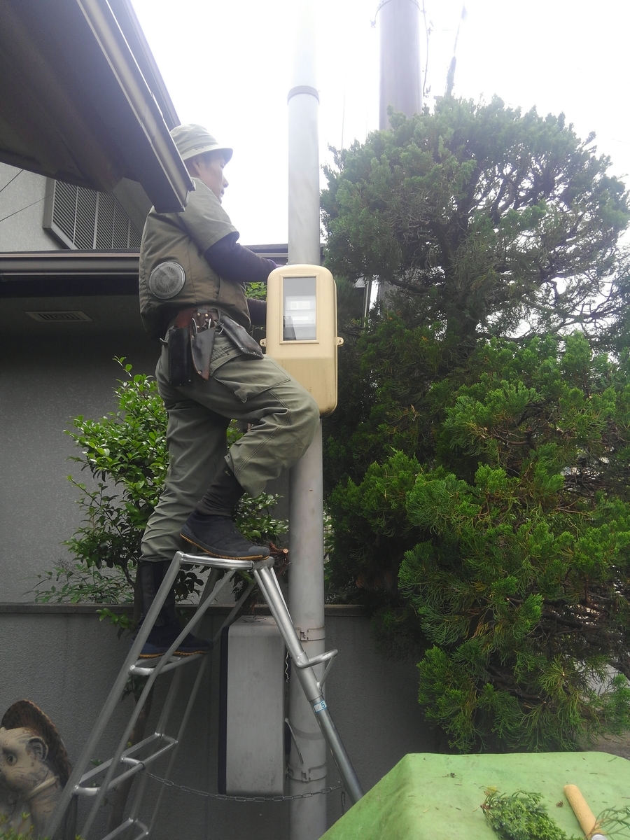 f:id:yukihatu:20190630155837j:plain