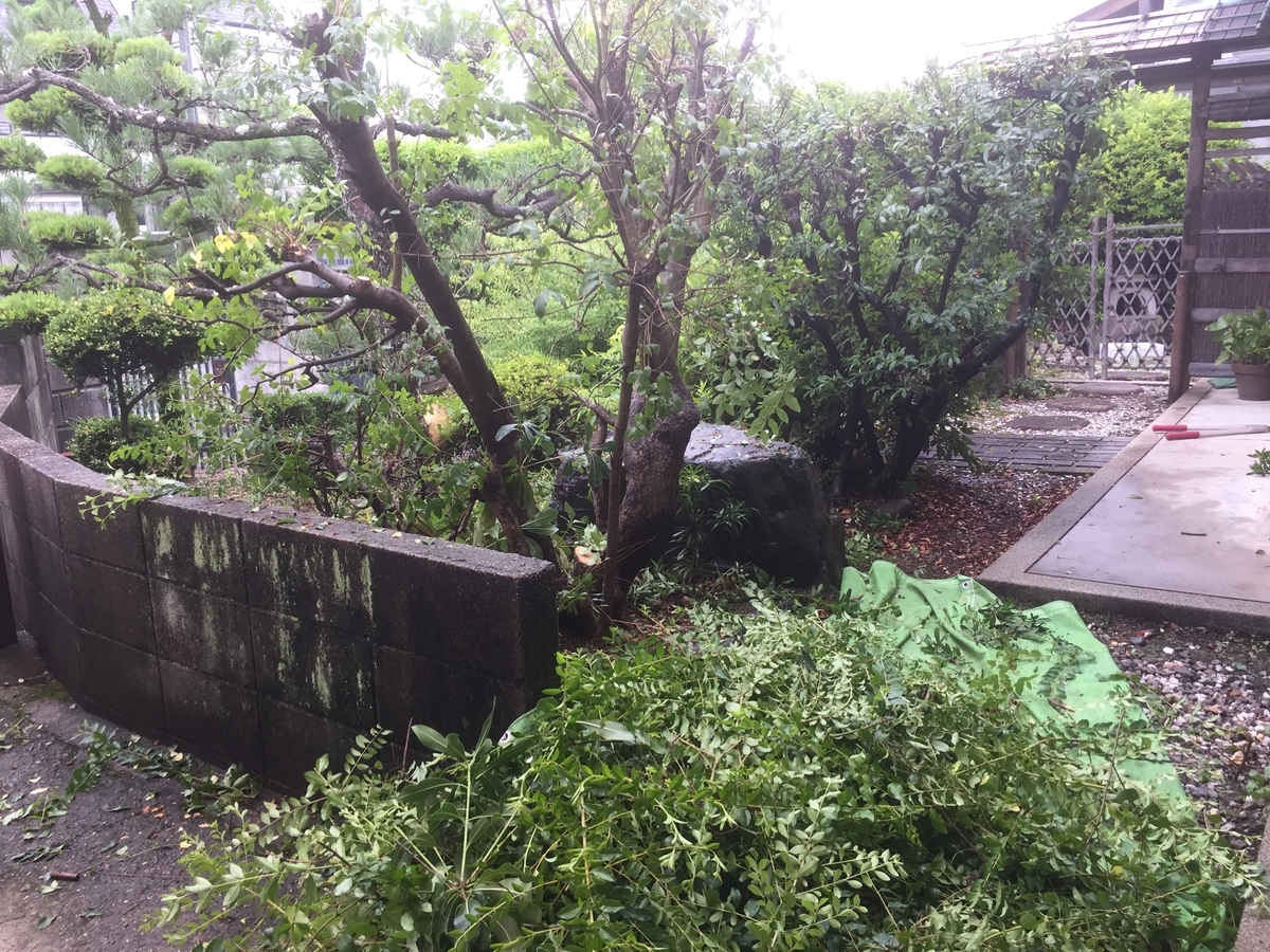 f:id:yukihatu:20190707063024j:plain f:id:yukihatu:20190707063024j:plain