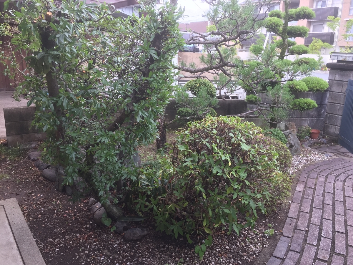 f:id:yukihatu:20190707063611j:plain f:id:yukihatu:20190707063611j:plain