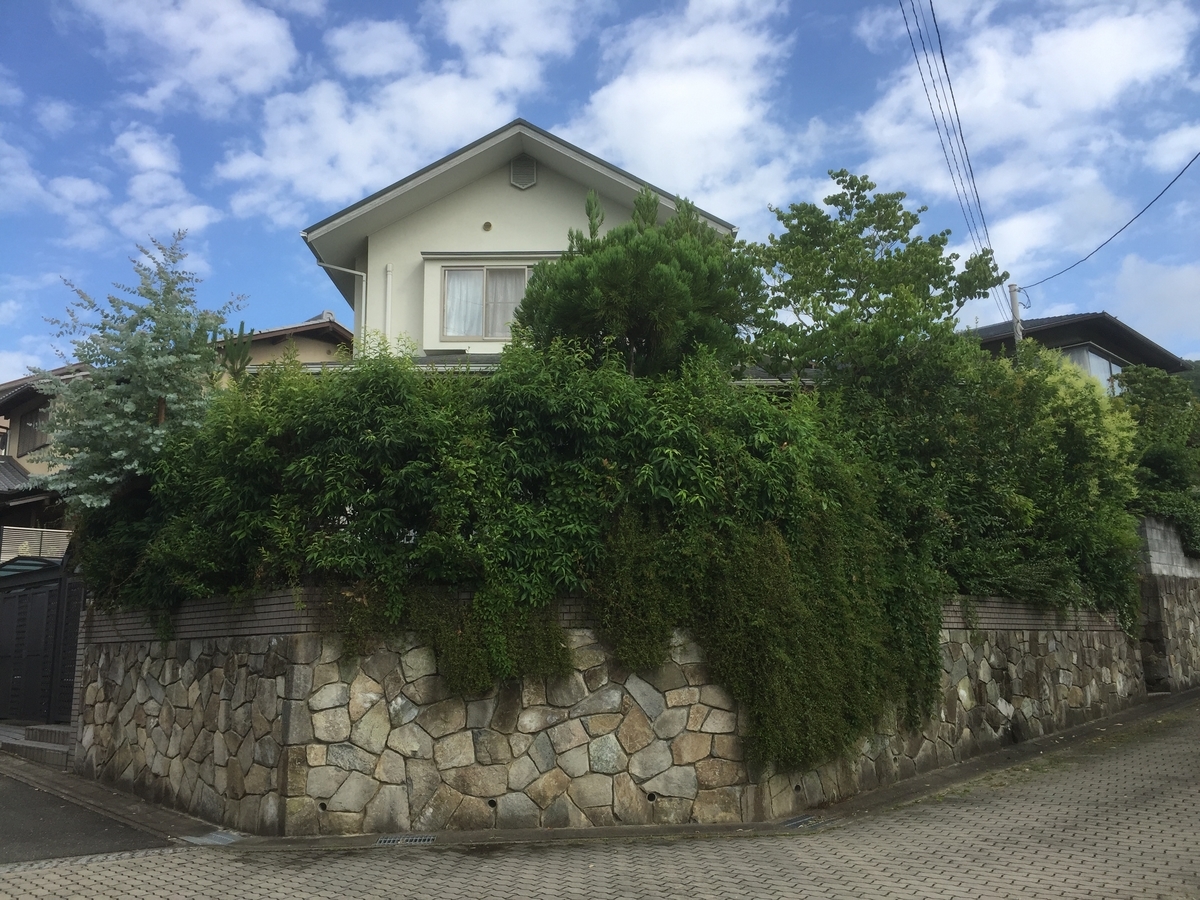 f:id:yukihatu:20190714220251j:plain f:id:yukihatu:20190714220251j:plain