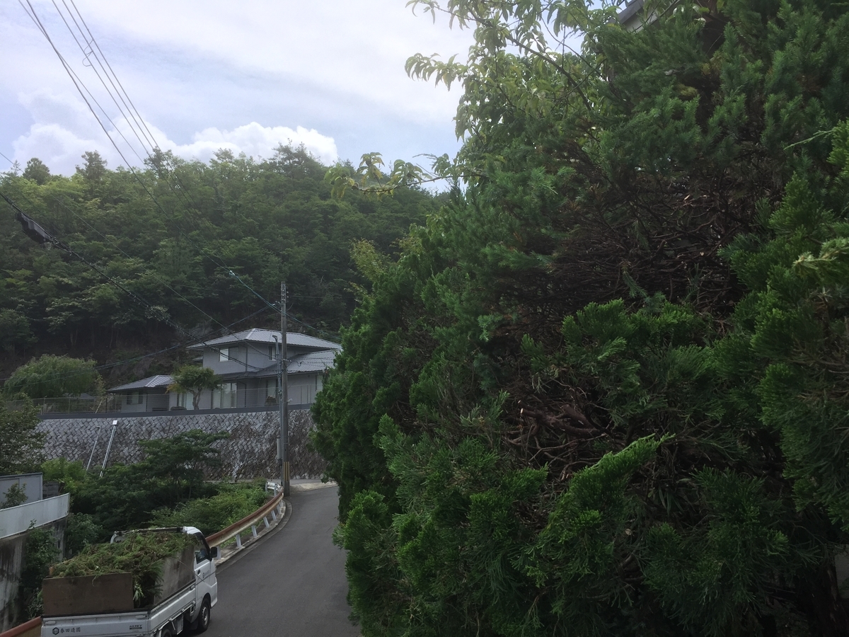 f:id:yukihatu:20190720233905j:plain