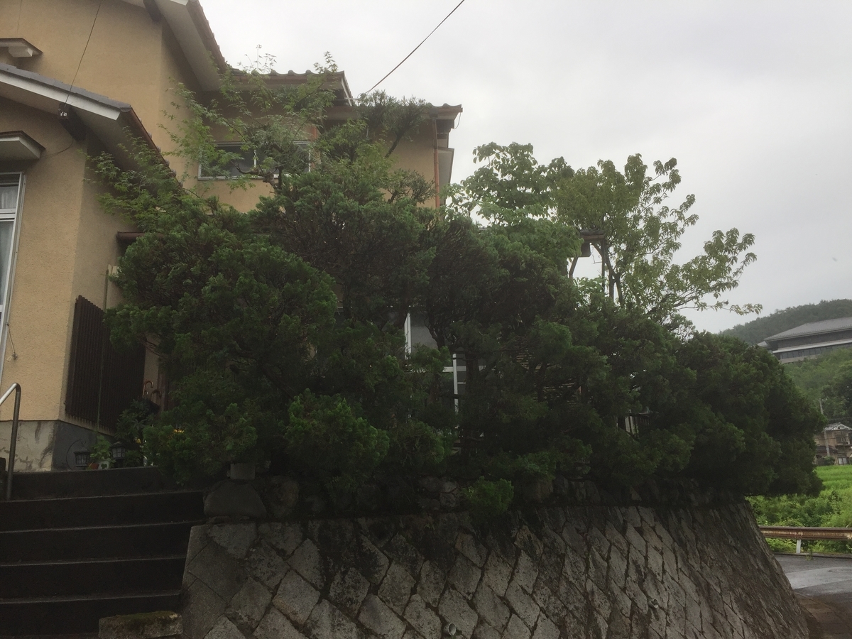 f:id:yukihatu:20190720234323j:plain