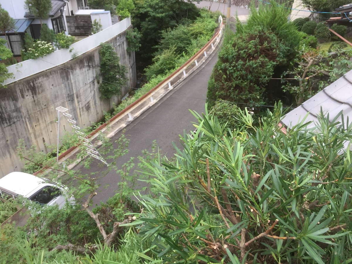 f:id:yukihatu:20190720235529j:plain