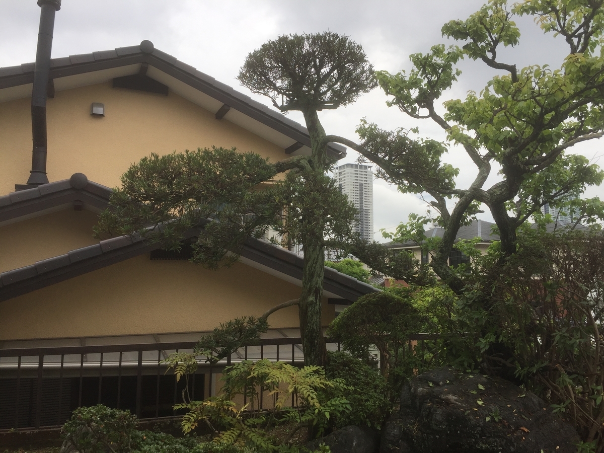 f:id:yukihatu:20190728160111j:plain