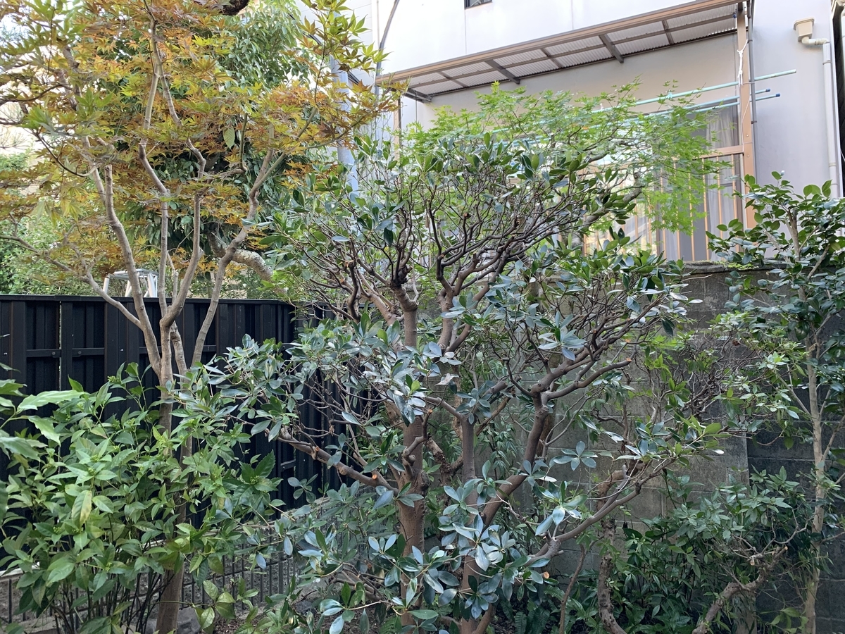 f:id:yukihatu:20190920222936j:plain