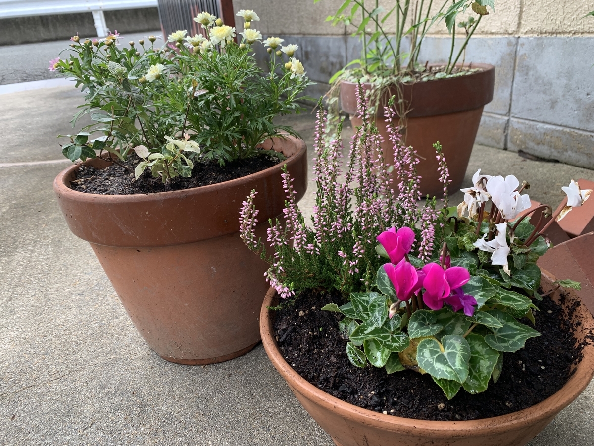 f:id:yukihatu:20191016214654j:plain