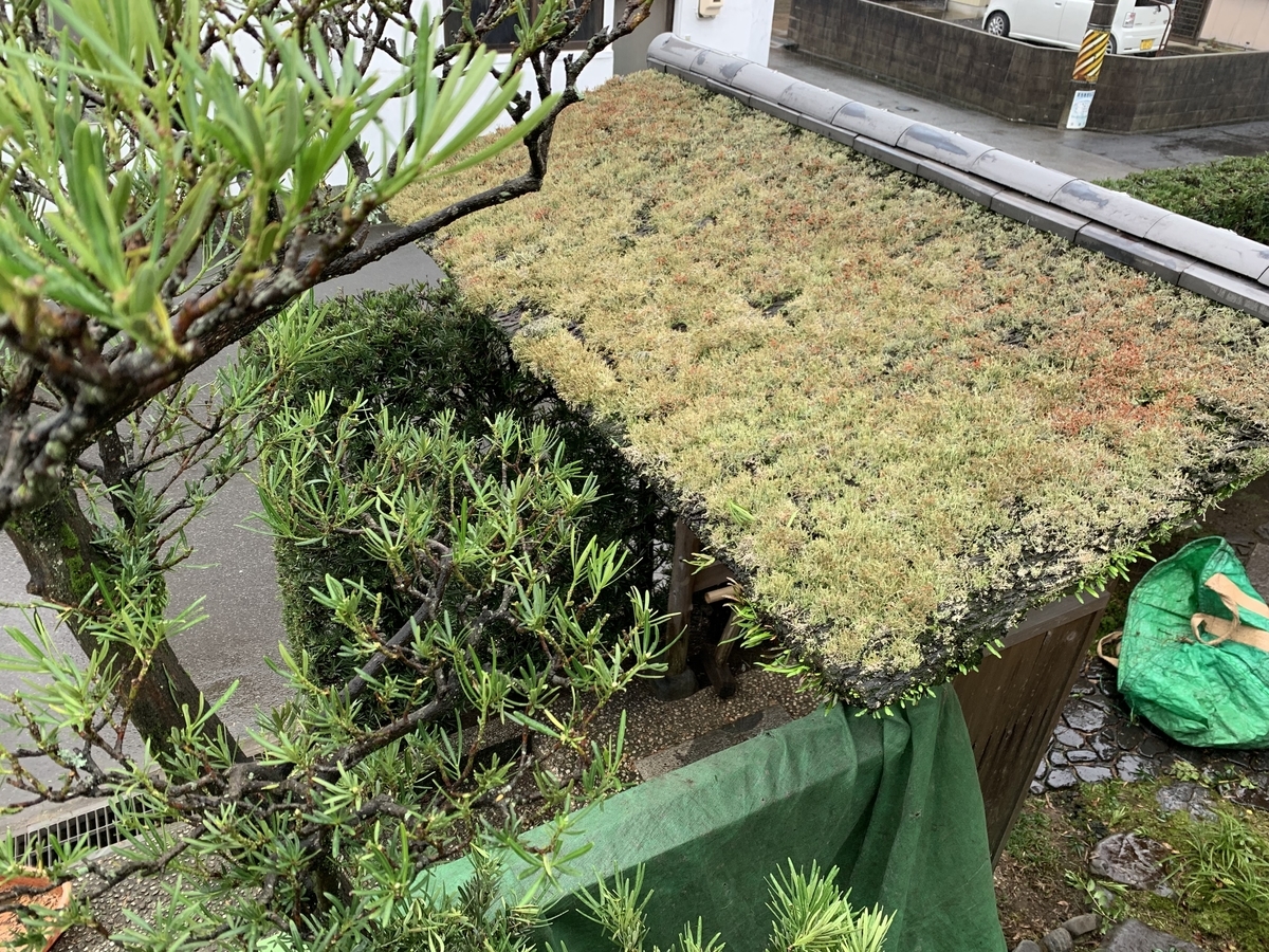 f:id:yukihatu:20191026055523j:plain f:id:yukihatu:20191026055523j:plain