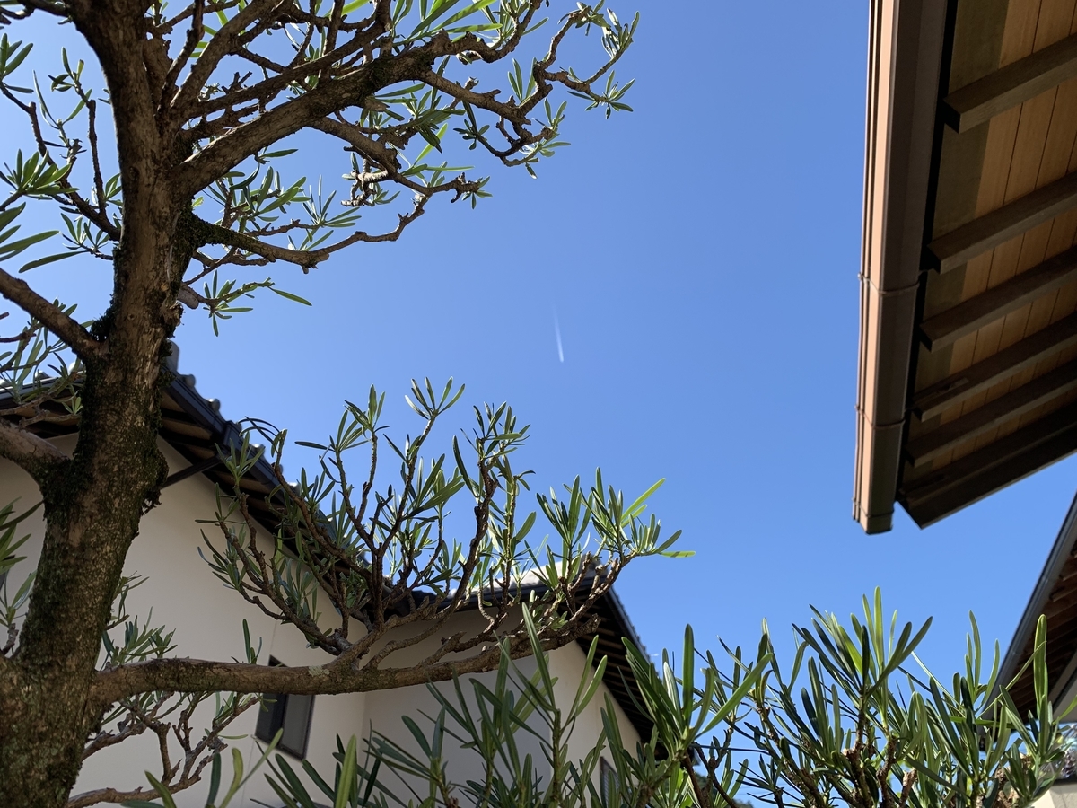 f:id:yukihatu:20191110232031j:plain