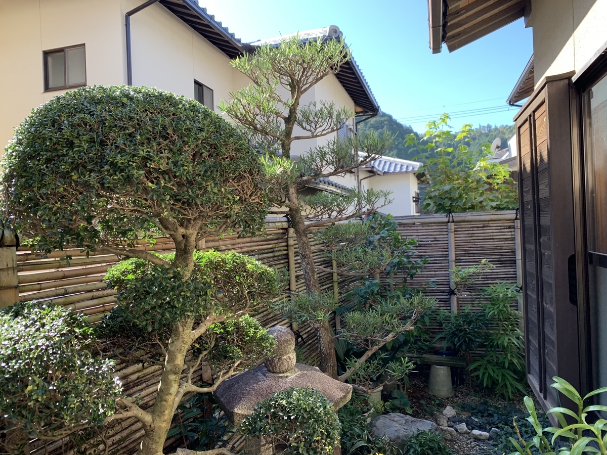 f:id:yukihatu:20191110232351j:plain