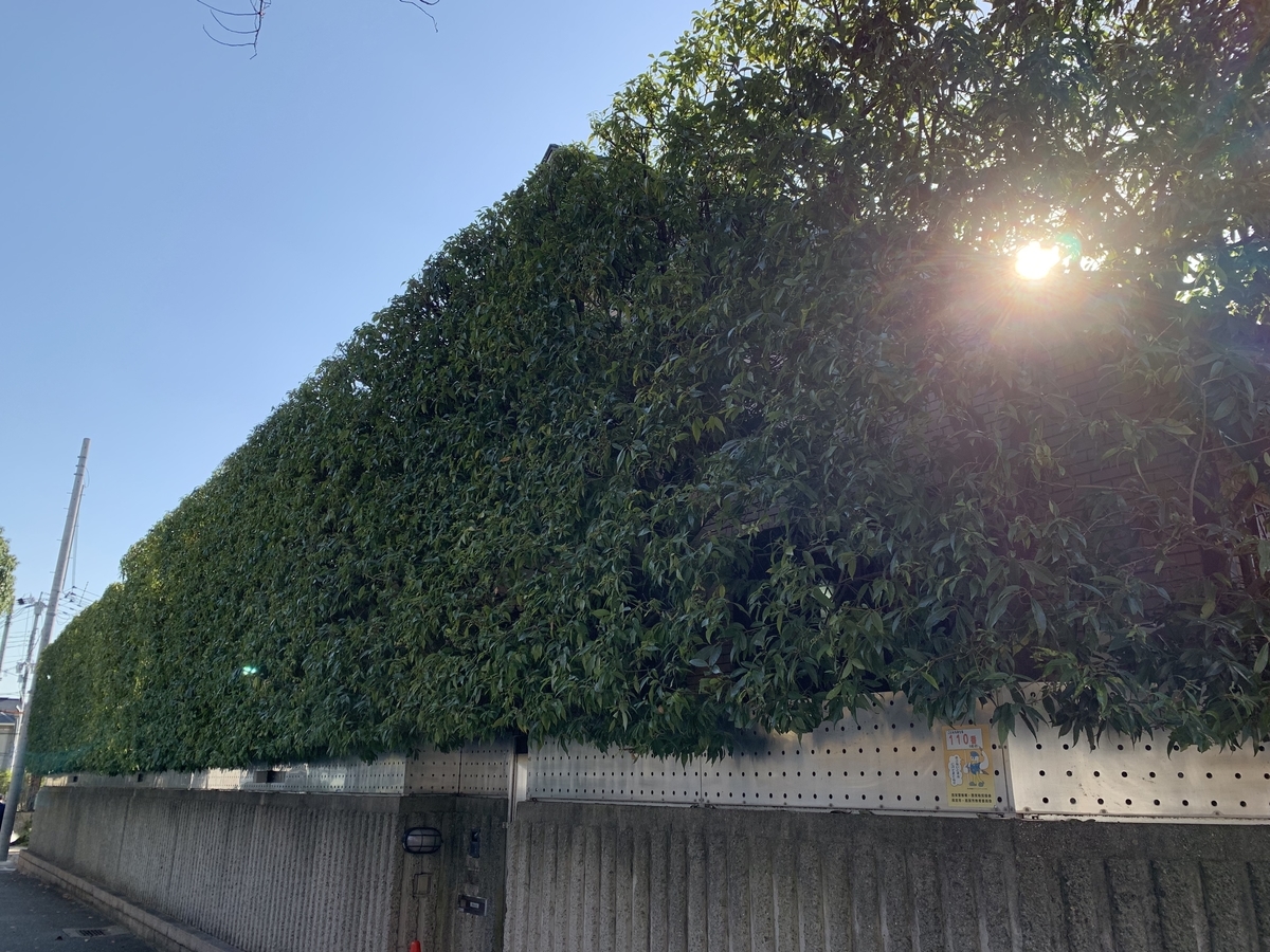 f:id:yukihatu:20191122043054j:plain