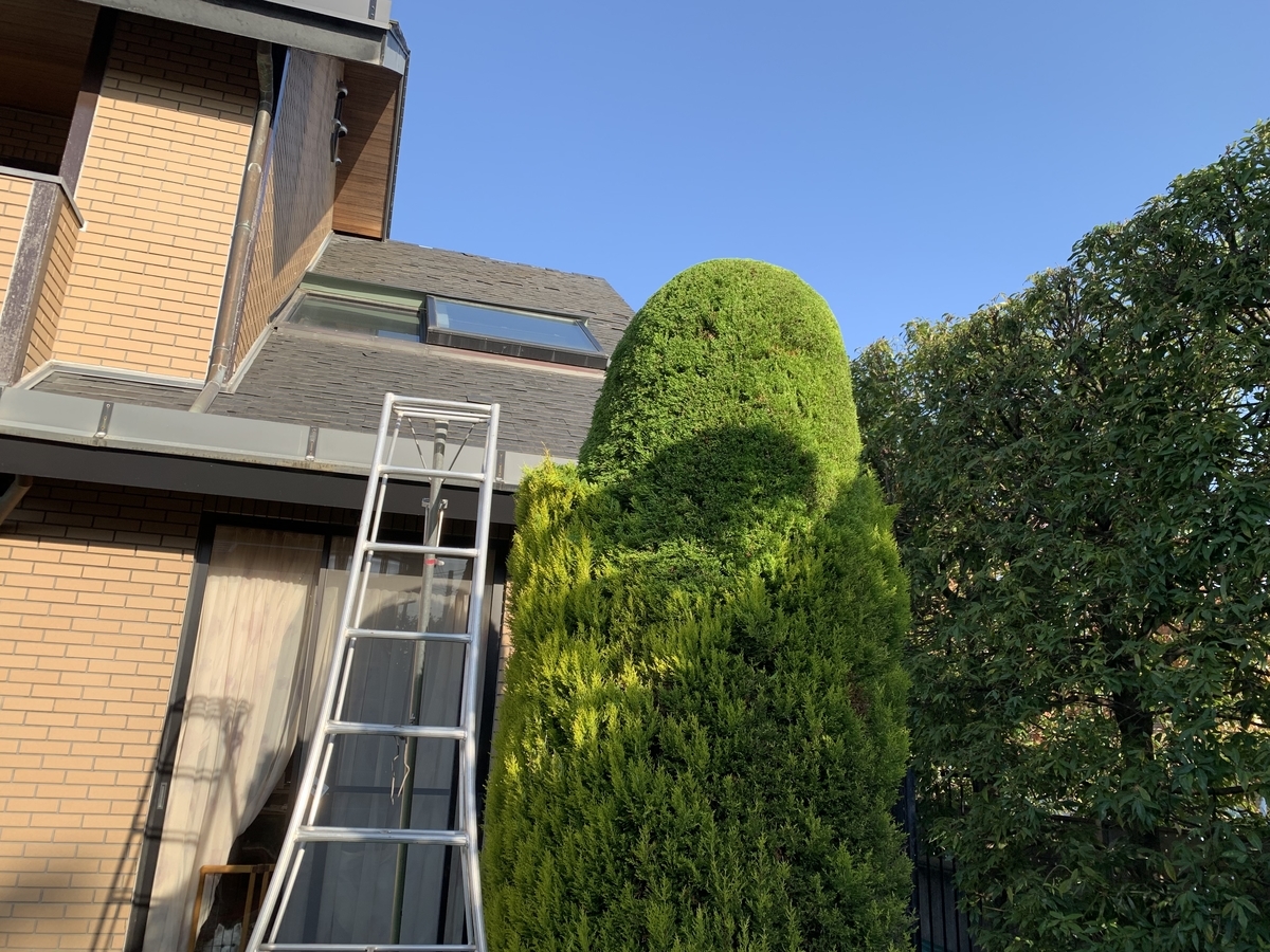 f:id:yukihatu:20191122051154j:plain