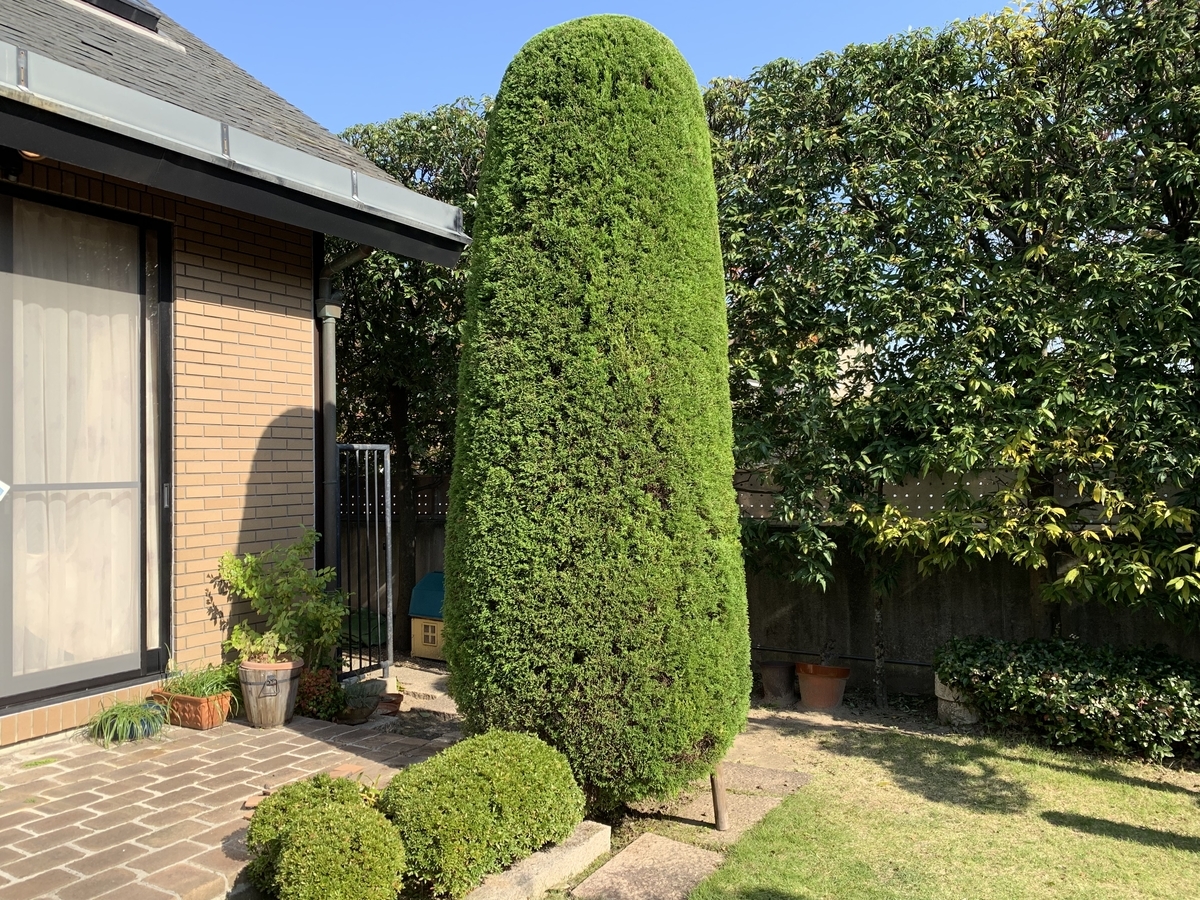 f:id:yukihatu:20191122051639j:plain