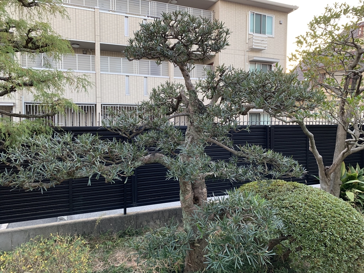 f:id:yukihatu:20191208062849j:plain