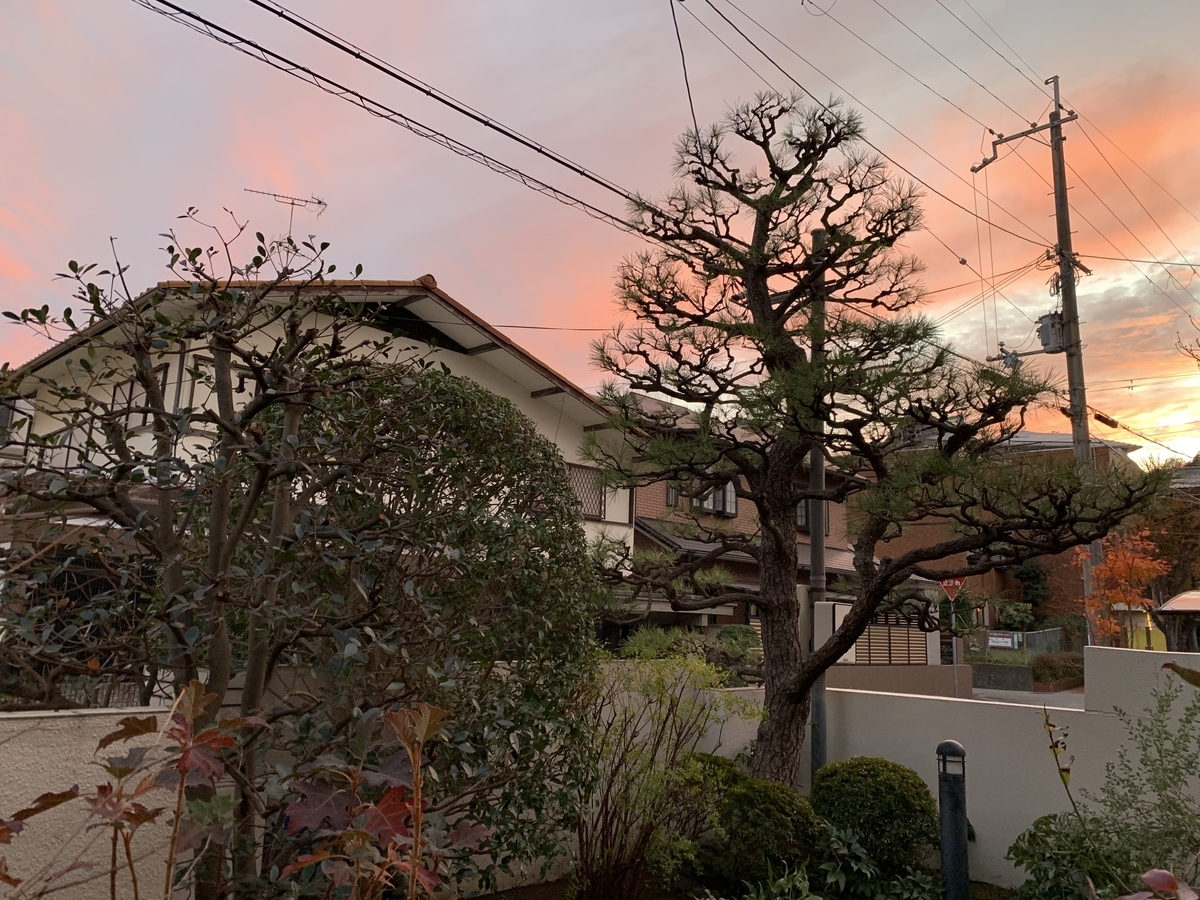 f:id:yukihatu:20191213060942j:plain