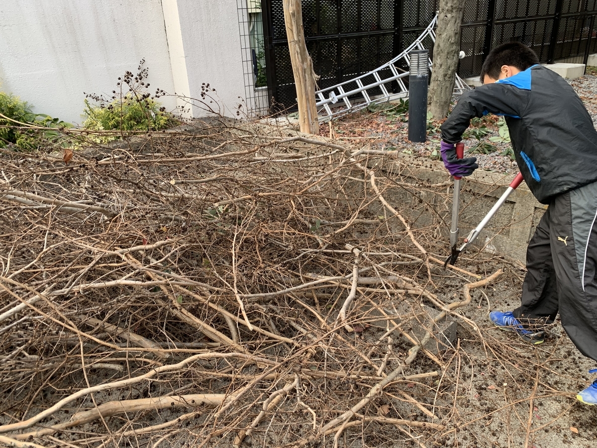 f:id:yukihatu:20191215182337j:plain