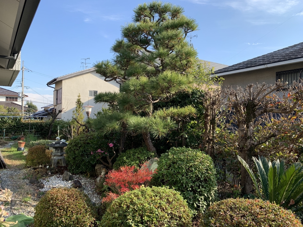 f:id:yukihatu:20191219063400j:plain