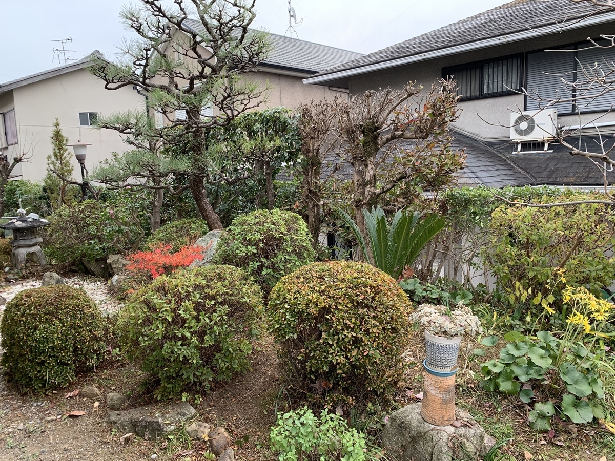 f:id:yukihatu:20191219065114j:plain