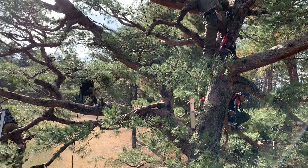 f:id:yukihatu:20200106220214j:plain