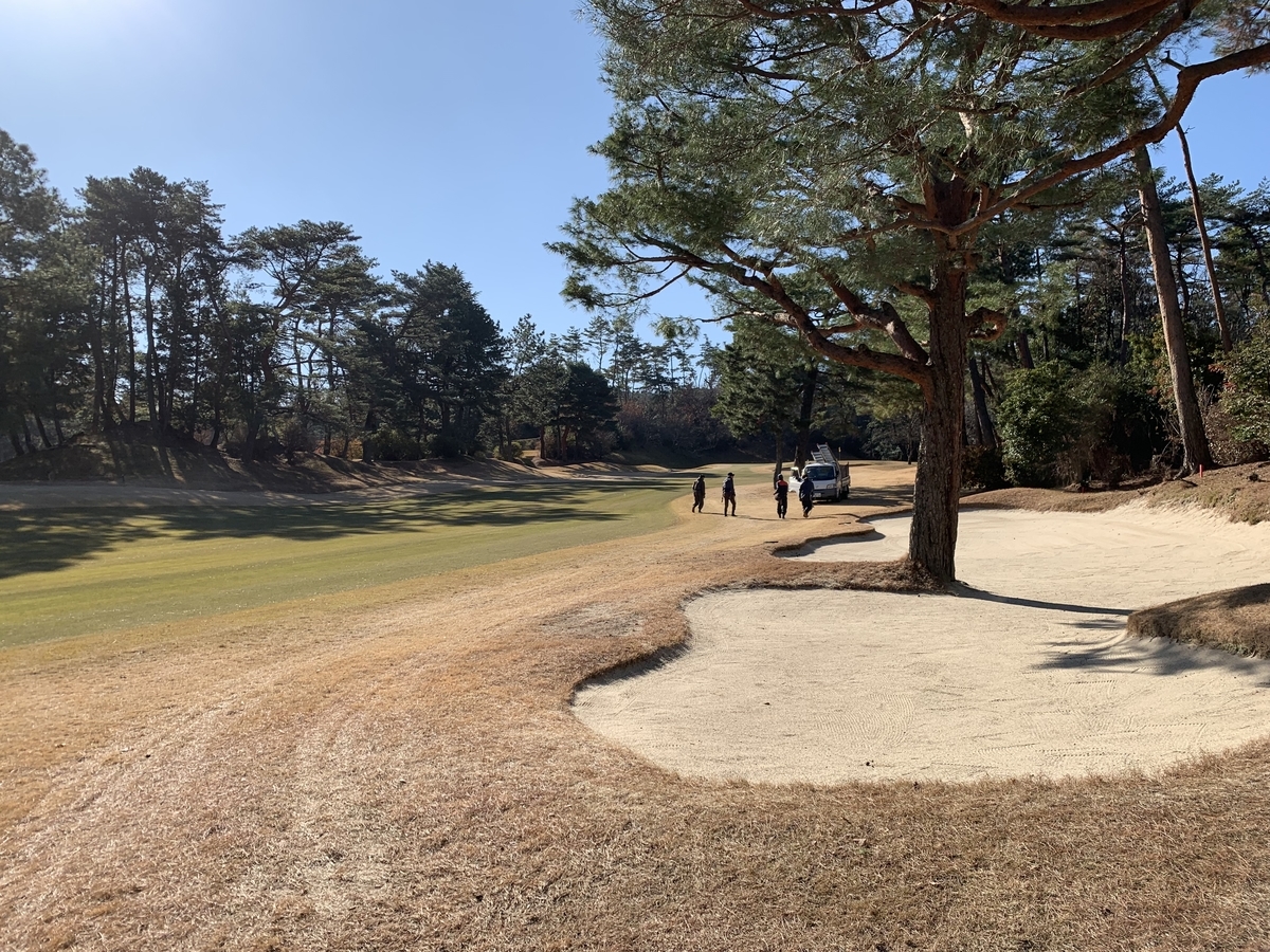 f:id:yukihatu:20200106220801j:plain