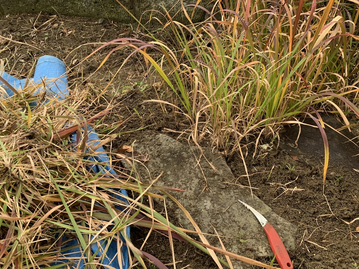 f:id:yukihatu:20200117221138j:plain