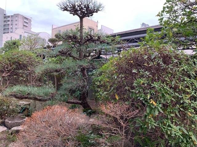 f:id:yukihatu:20200124231458j:plain