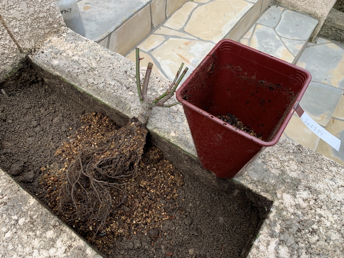 f:id:yukihatu:20200130060850j:plain f:id:yukihatu:20200130060850j:plain