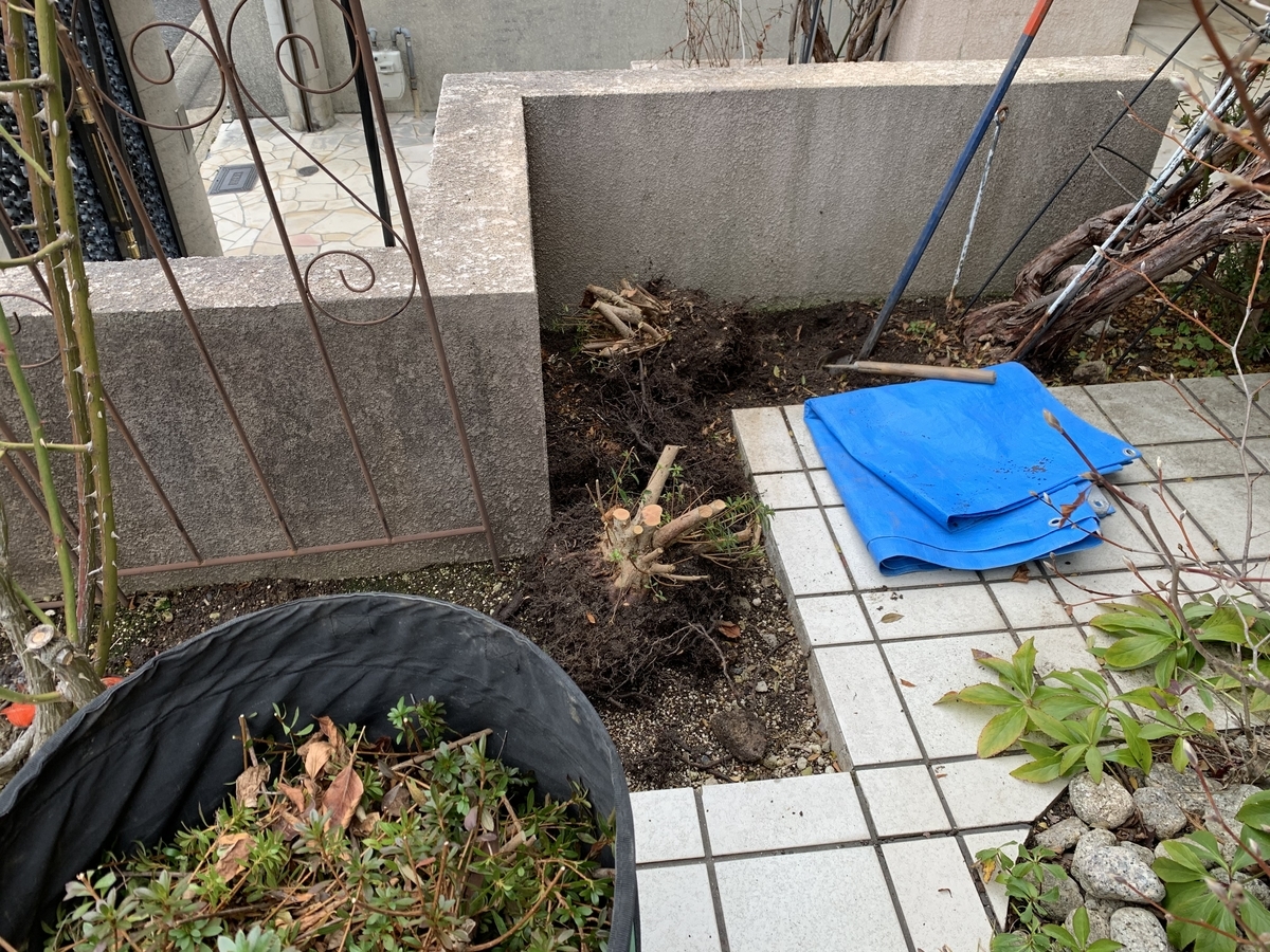 f:id:yukihatu:20200130061319j:plain f:id:yukihatu:20200130061319j:plain