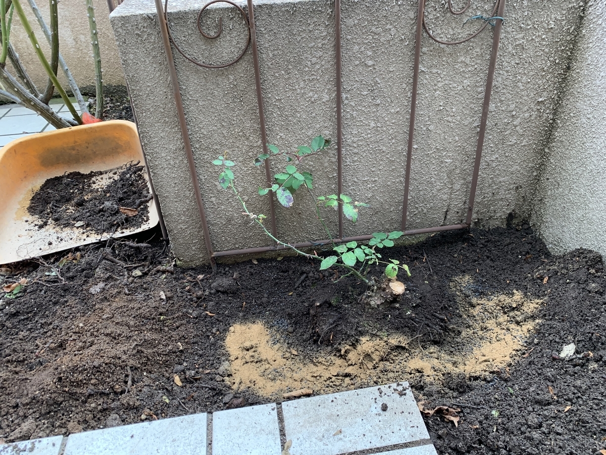 f:id:yukihatu:20200130061347j:plain f:id:yukihatu:20200130061347j:plain