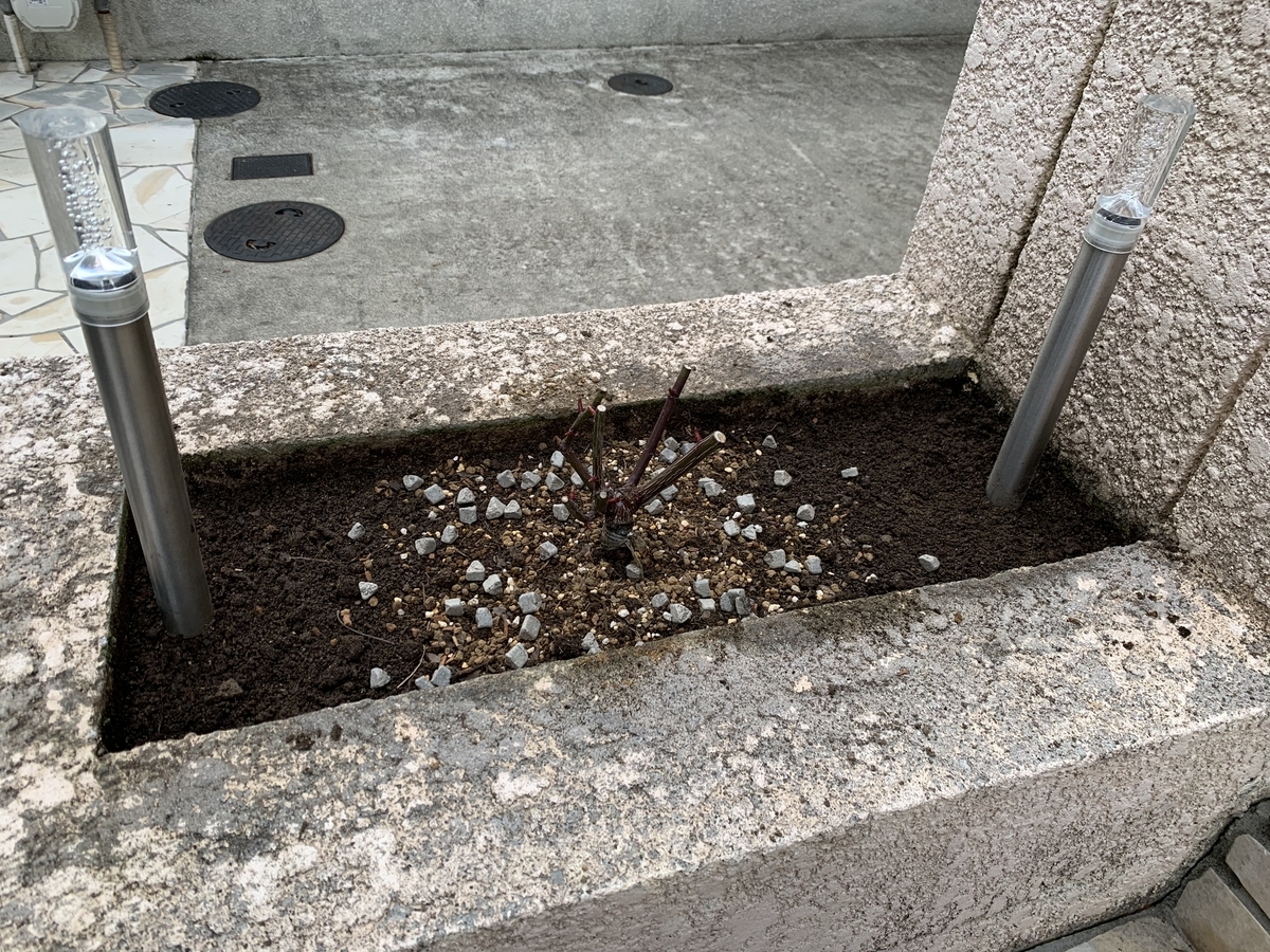 f:id:yukihatu:20200130062320j:plain f:id:yukihatu:20200130062320j:plain