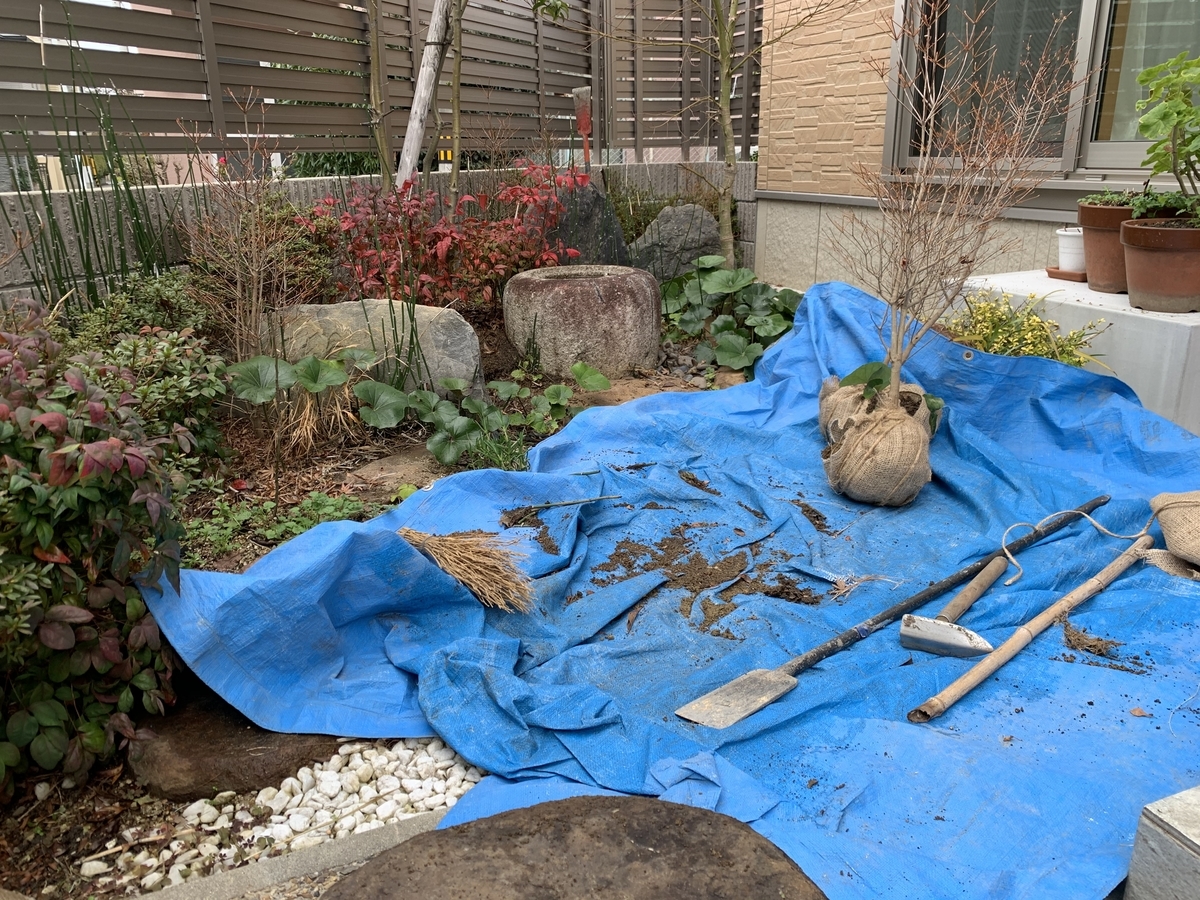 f:id:yukihatu:20200131065447j:plain