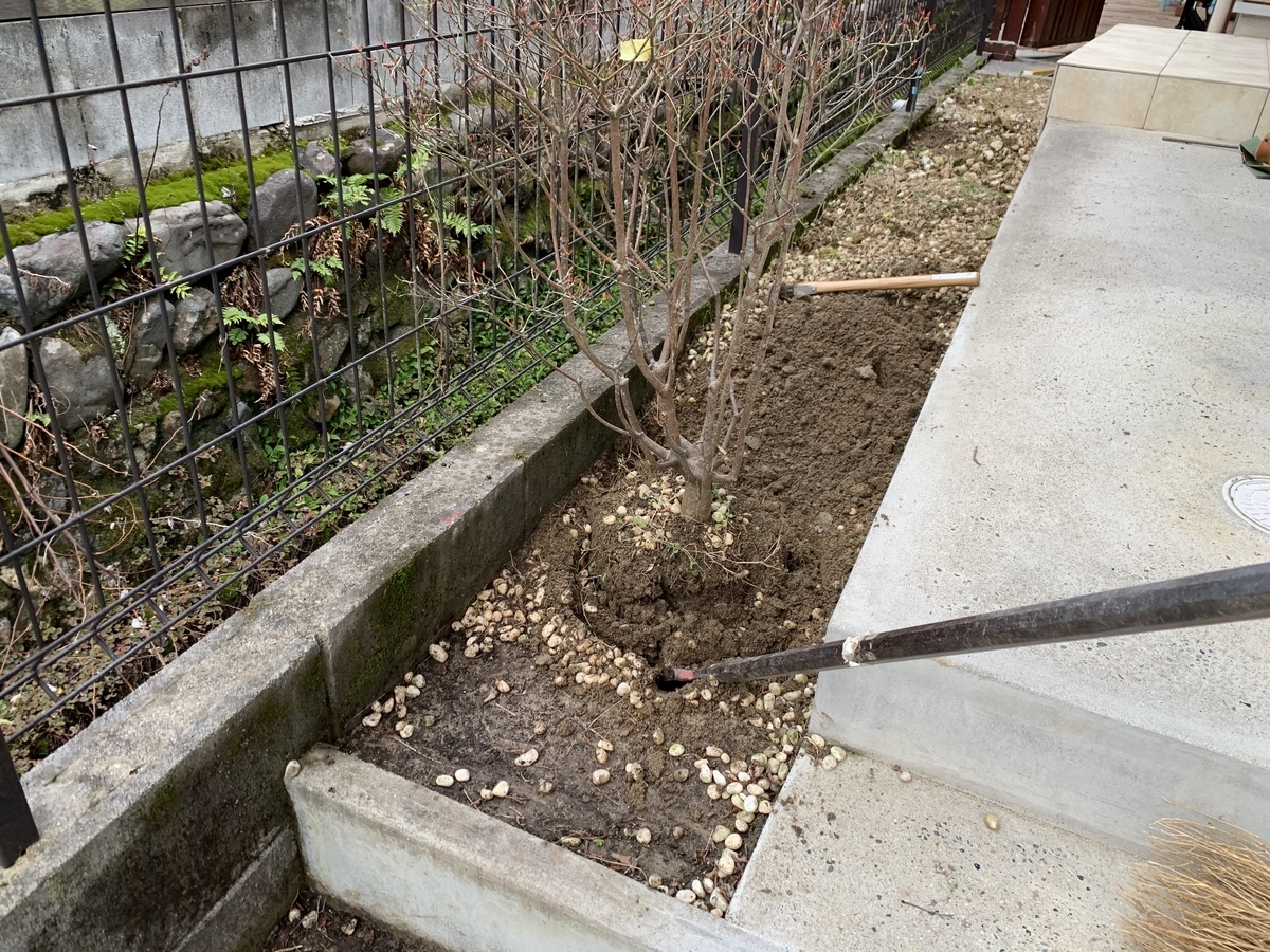 f:id:yukihatu:20200204064522j:plain