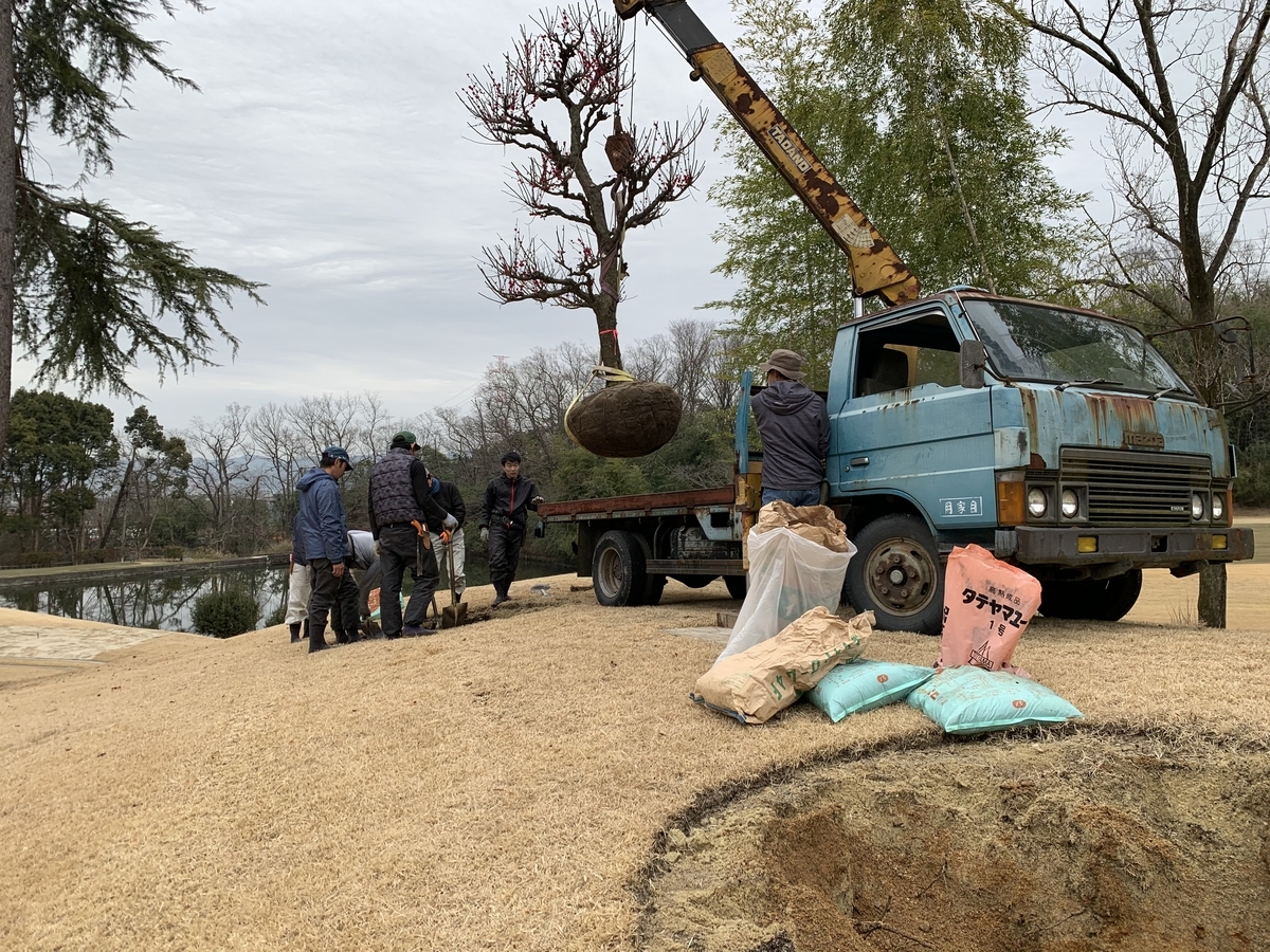 f:id:yukihatu:20200225110122j:plain