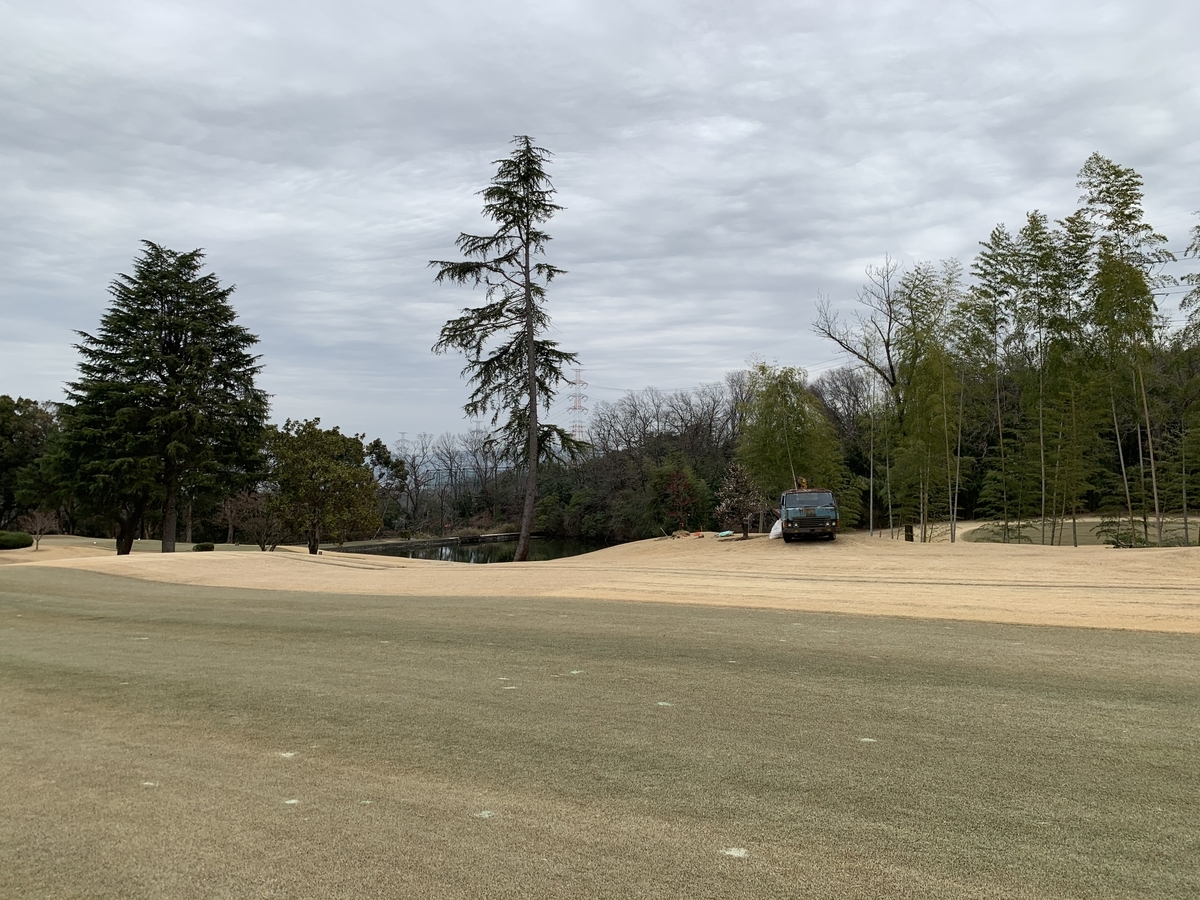 f:id:yukihatu:20200225120142j:plain