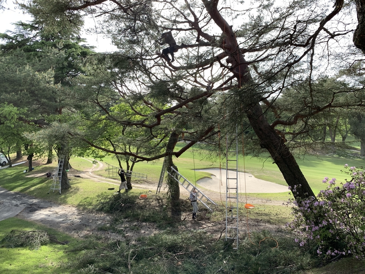 f:id:yukihatu:20200511222020j:plain