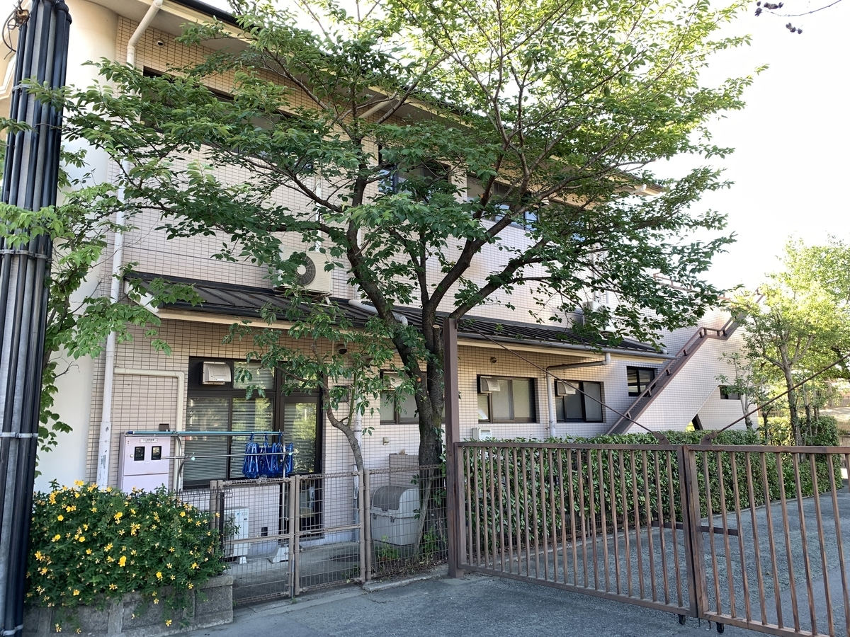 f:id:yukihatu:20200614221619j:plain