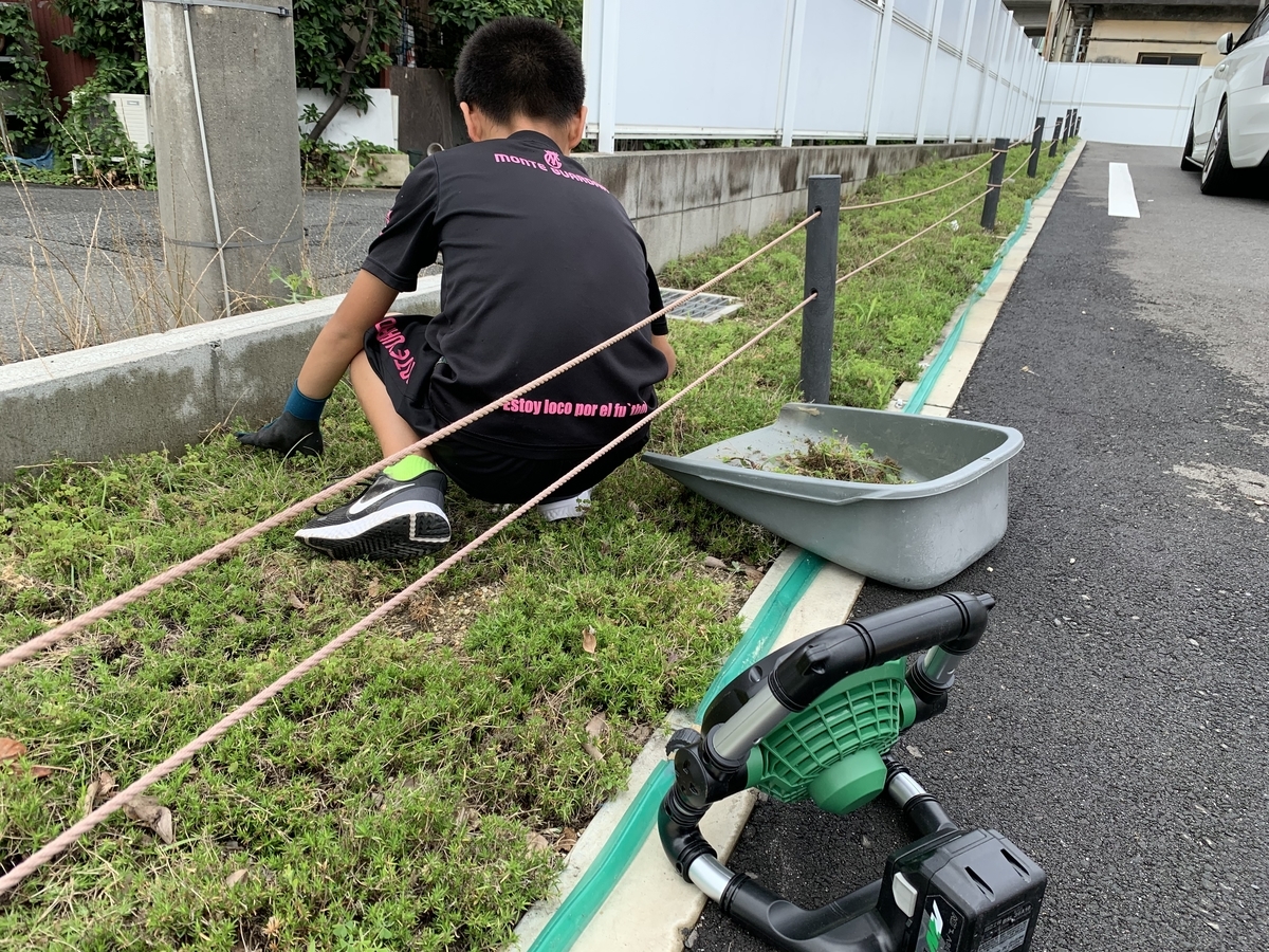 f:id:yukihatu:20200706151331j:plain f:id:yukihatu:20200706151331j:plain