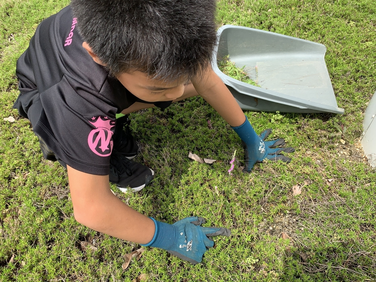 f:id:yukihatu:20200706151818j:plain f:id:yukihatu:20200706151818j:plain