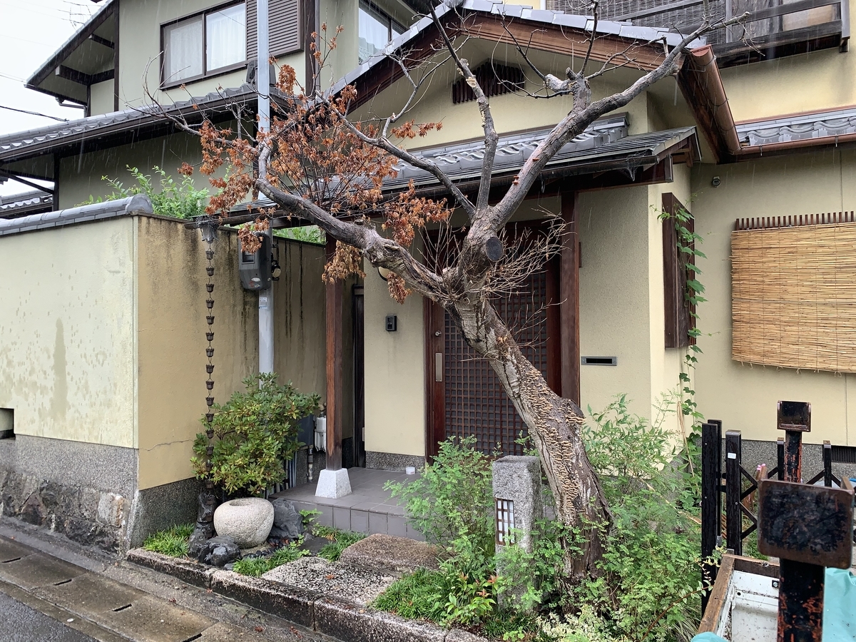 f:id:yukihatu:20200719200034j:plain f:id:yukihatu:20200719200034j:plain