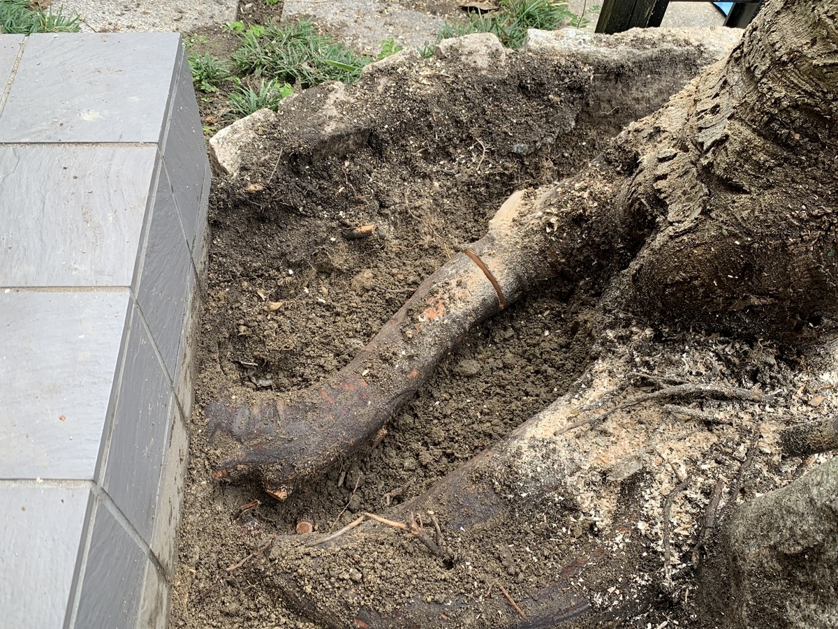 f:id:yukihatu:20200719201050j:plain f:id:yukihatu:20200719201050j:plain