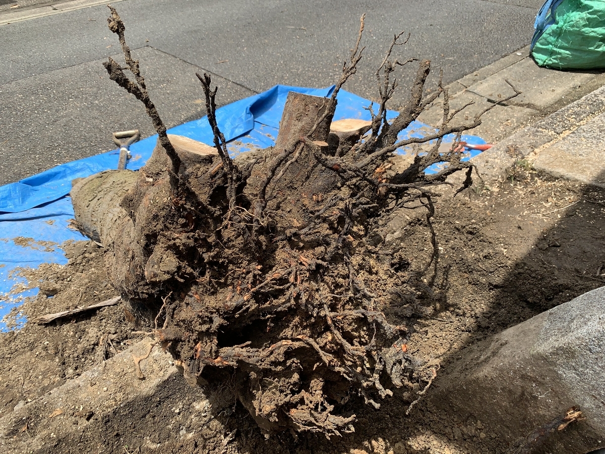 f:id:yukihatu:20200719202142j:plain f:id:yukihatu:20200719202142j:plain