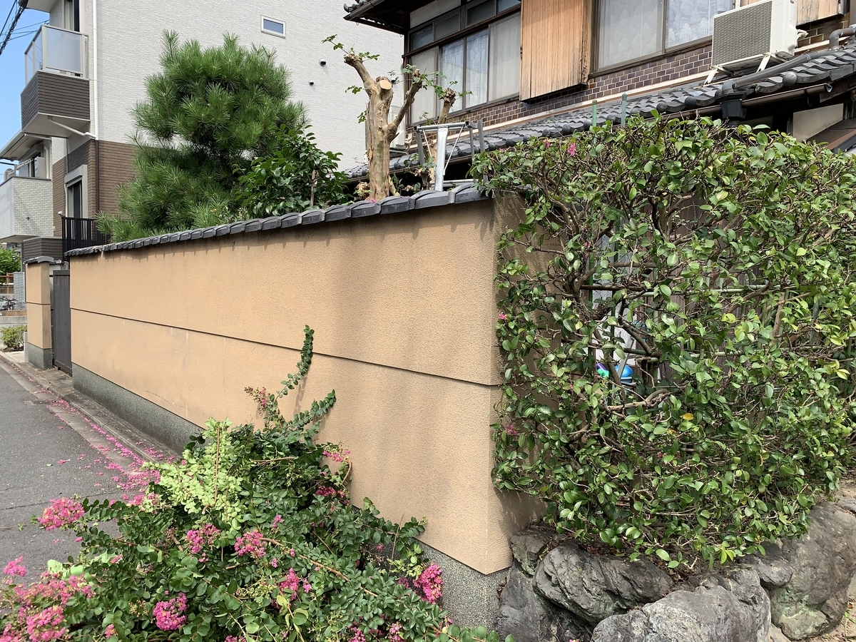 f:id:yukihatu:20200904213224j:plain f:id:yukihatu:20200904213224j:plain