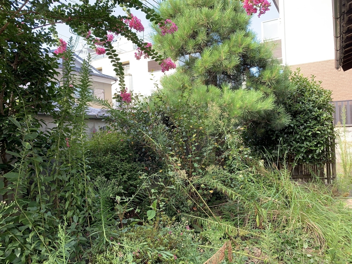 f:id:yukihatu:20200904214312j:plain f:id:yukihatu:20200904214312j:plain