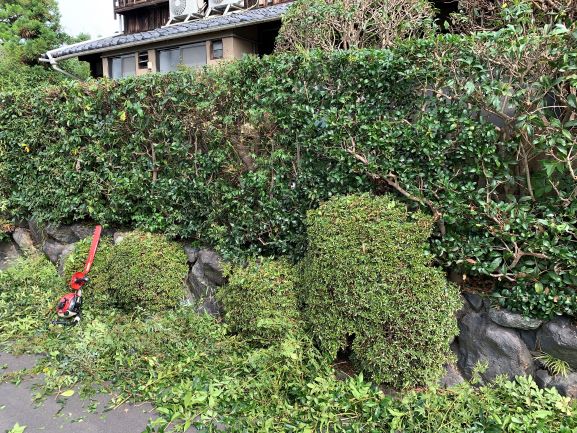 f:id:yukihatu:20200913060347j:plain